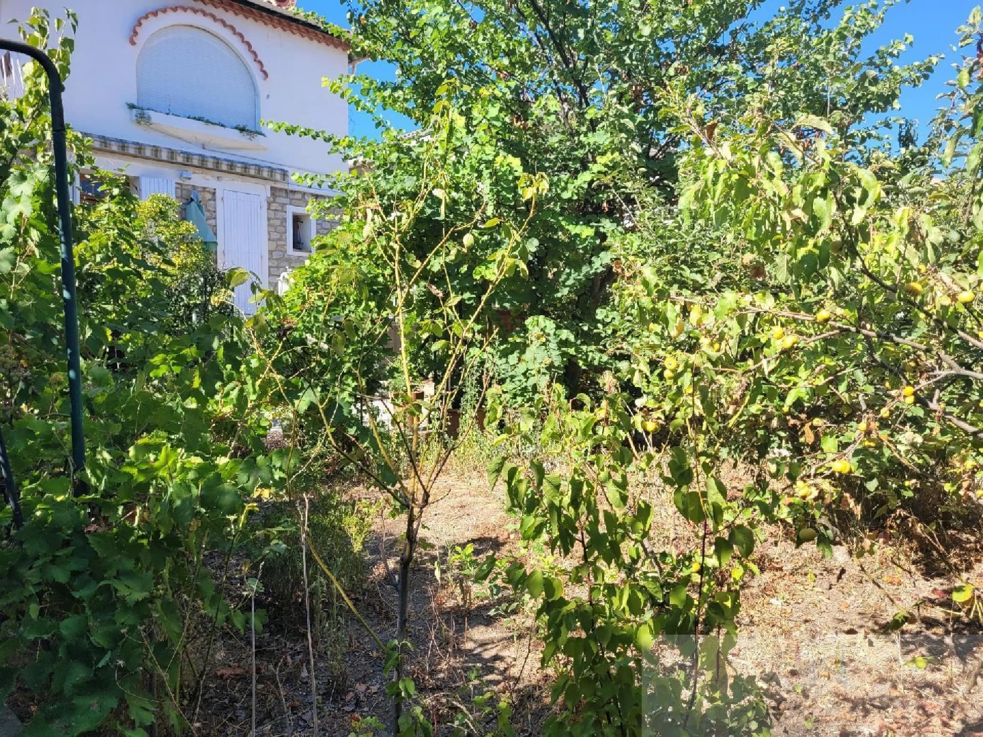 photo estate n°718254
