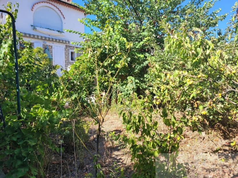 thumbnail of estate's photo